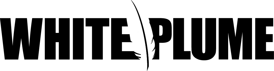 AccelaCAPTURE Log-In